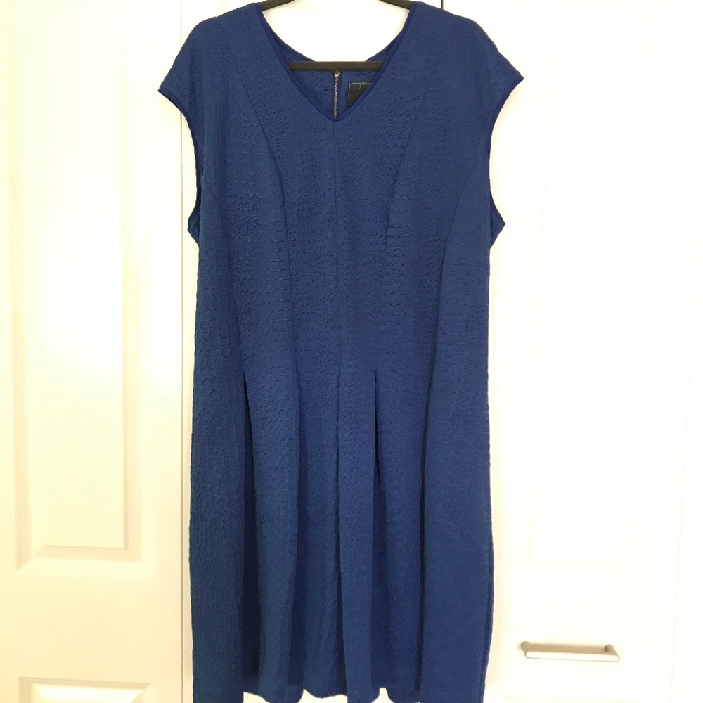 Gabby Skye Blue Sleeveless Flare Dress